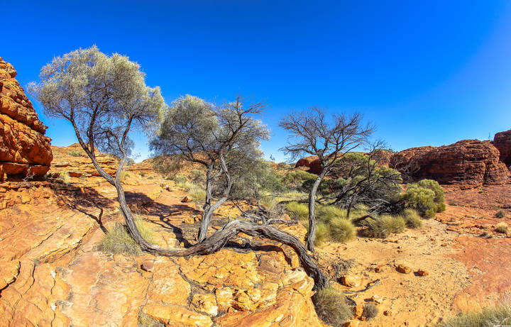 Kings Canyon (Королевский Каньон)