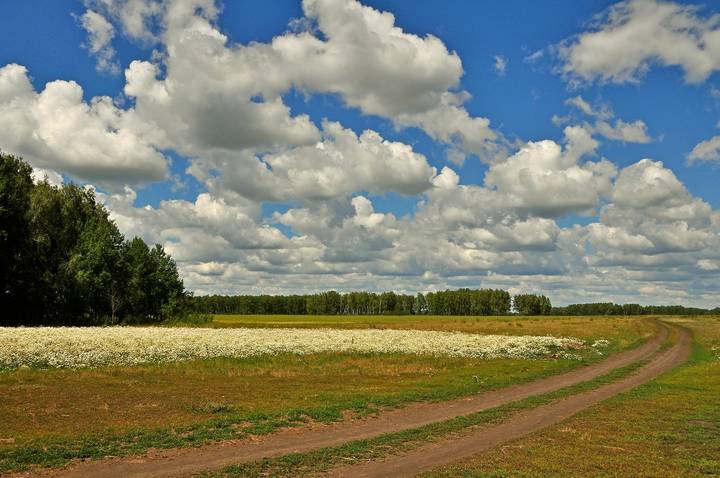 Сибирские просторы