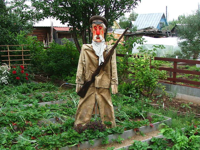 уДАЧНЫЙ сторож