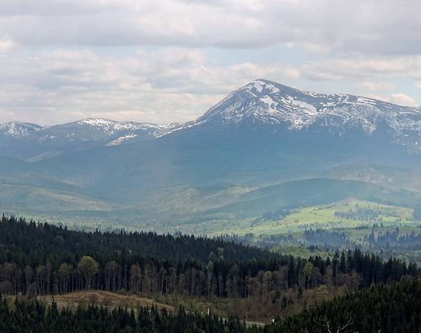 Говерла