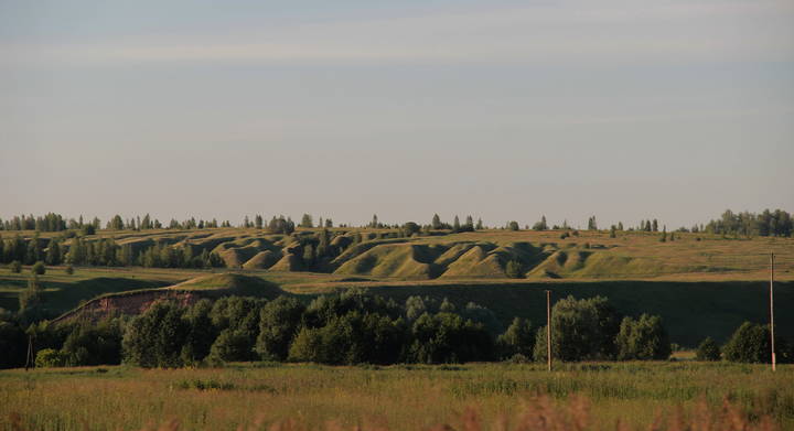 "Извилины" 
