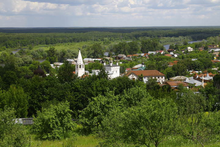 Гороховец (Владимирская область)