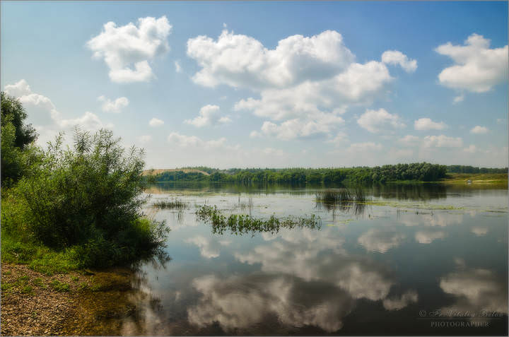 Летом на Оке