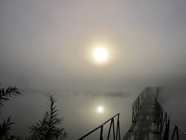 Утро в тумане .