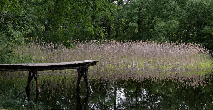 "Теплый вечер.."