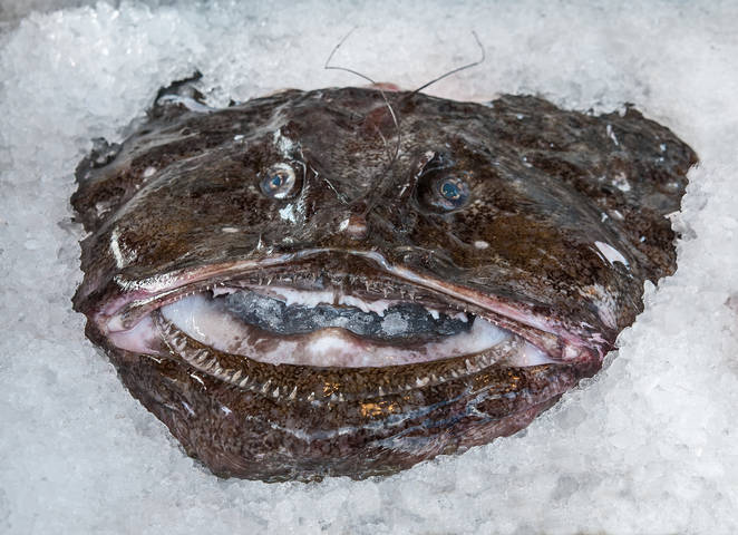 Портрет