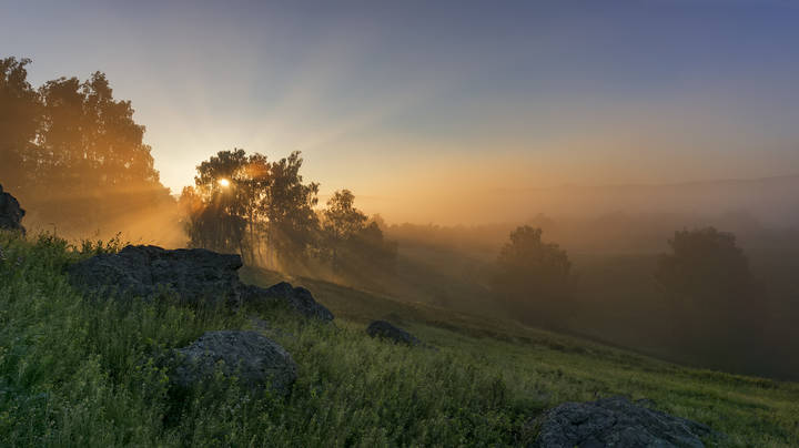 На заре