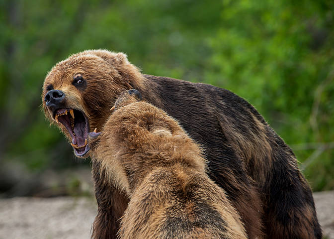 "ТЫ ГДЕ БЫЛА....?!"