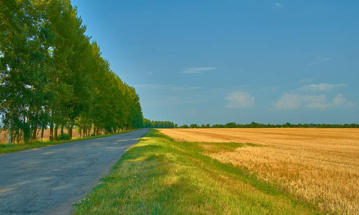 МАКУШКА ЛЕТА