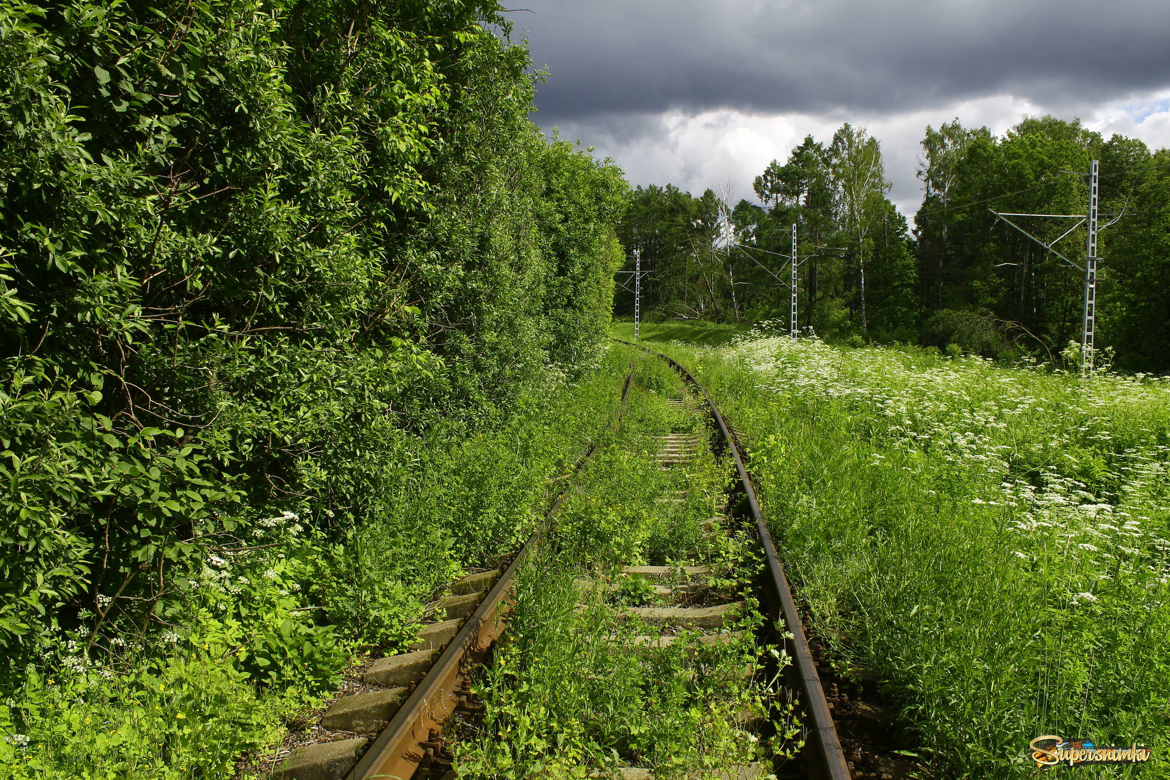 Рублёвская железнодорожная ветка в Ромашкове