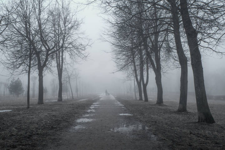 По туманным аллеям