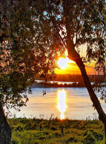 Рыбье место