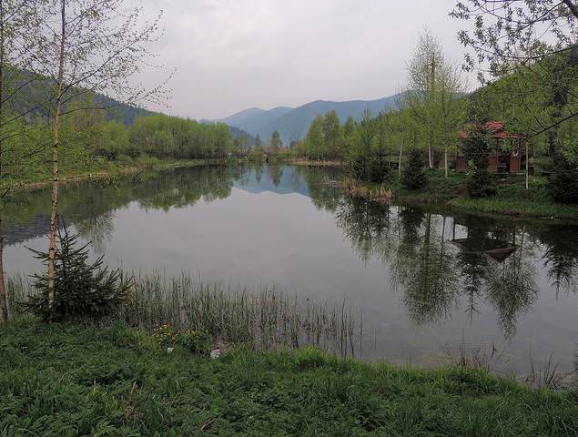 В Карпатах