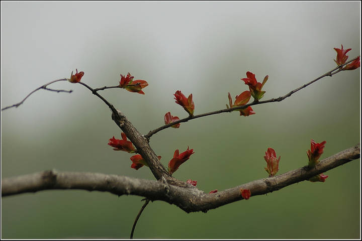 Природа