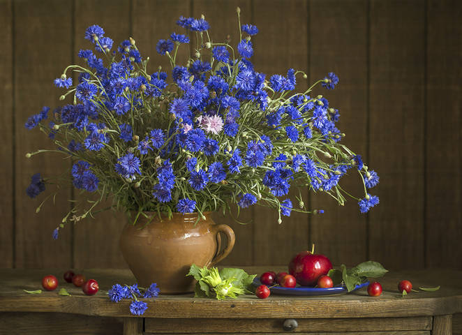 Васильковый салют.