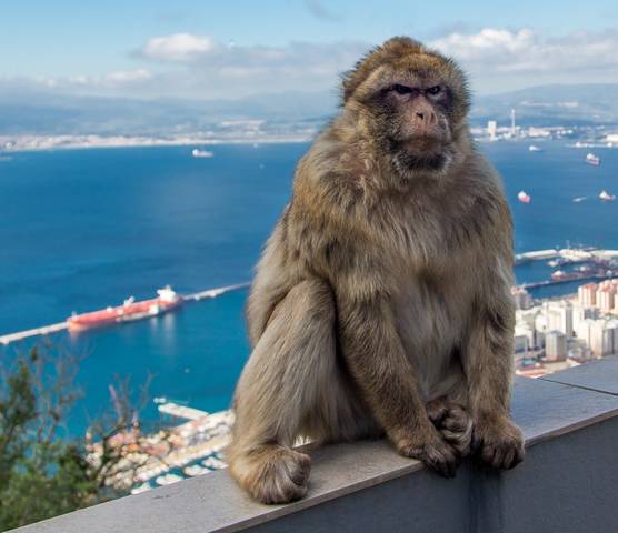 Gibraltar 