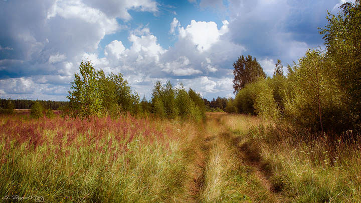 за городом