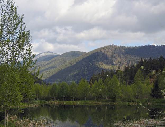 Серия "В Карпатах"