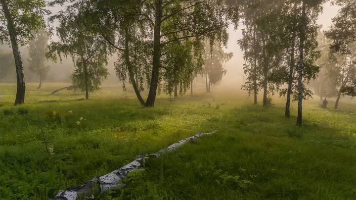 Рассвет