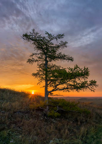 Карагай