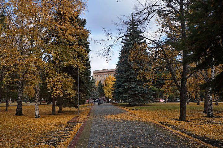 Золотая осень