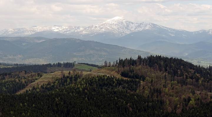В Карпатах