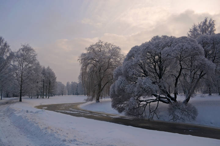 В зимнем парке