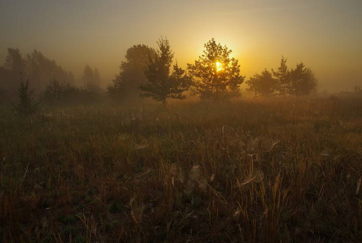 Рассвет