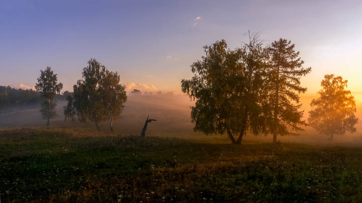 Рассвет