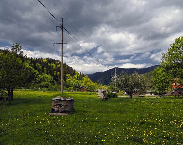 В Карпатах