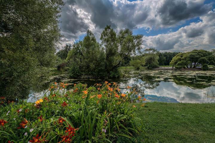Ботанический Сад