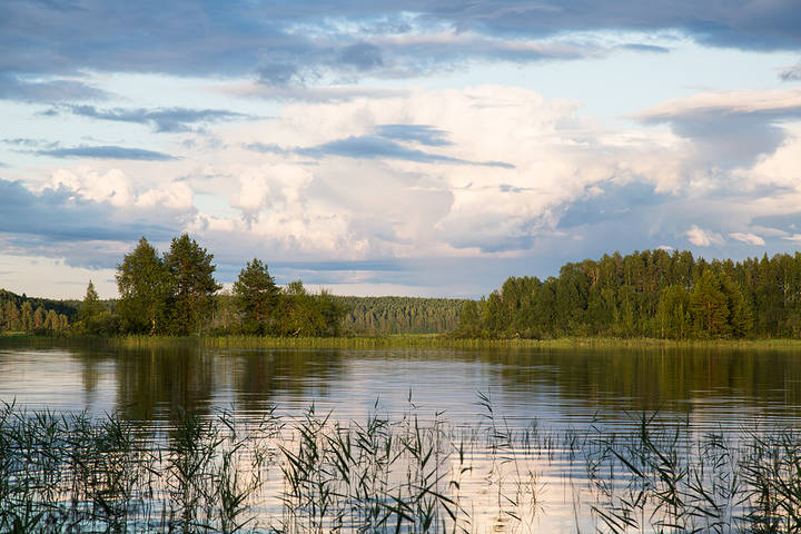 Кенозерье.