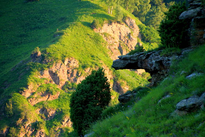 Кавказские луга.