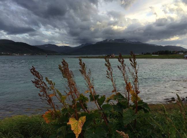 Lofoten