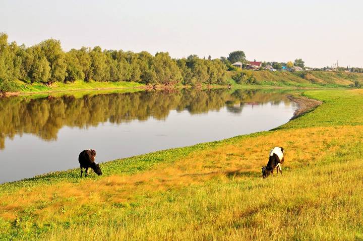 Утро на реке