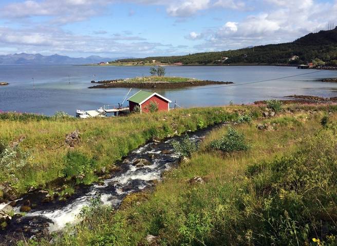 Lofoten