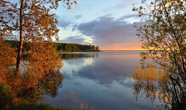 Утренняя Молога