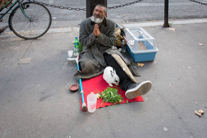 бедный Кролик