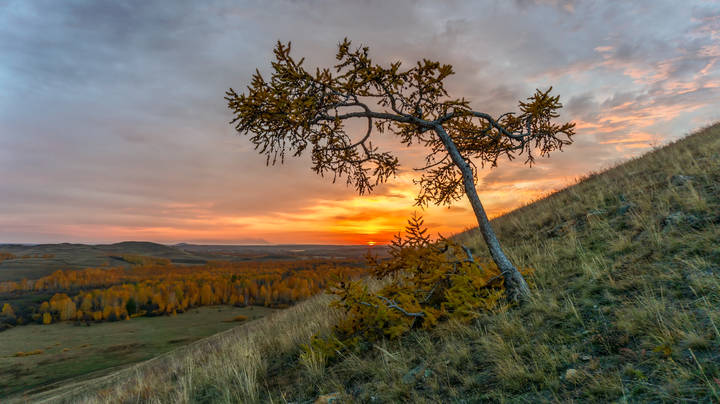Нелегкая