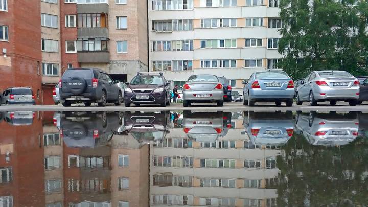 После дождичка