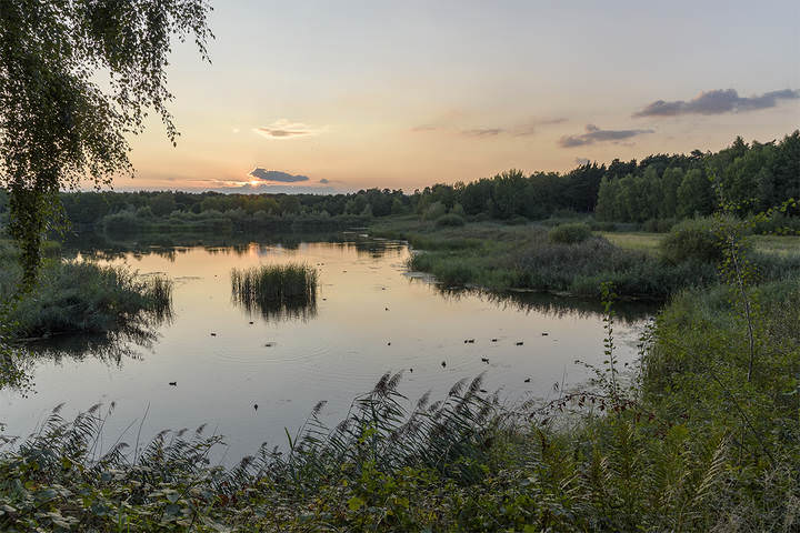 Вечерняя прогулка