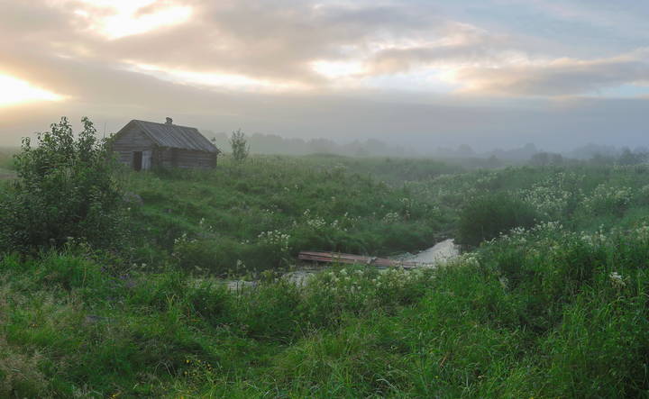 Предрассветная