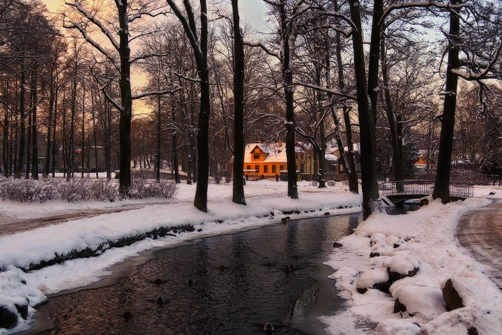 Взгляд из парка