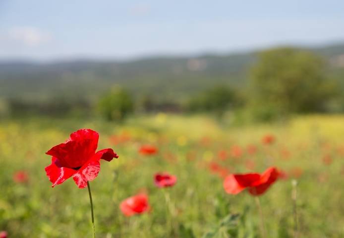 Toscana