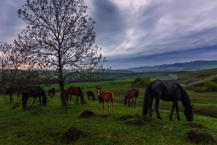 В сумерках