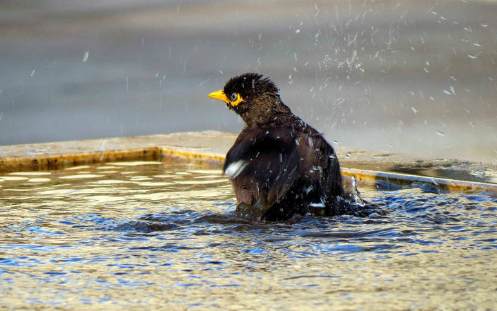 Водные процедуры