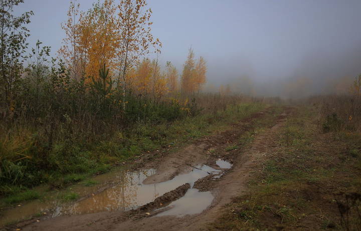 Осеннее