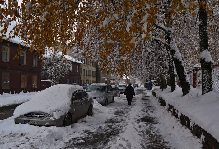 Первый снег