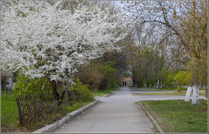 Весна в городе
