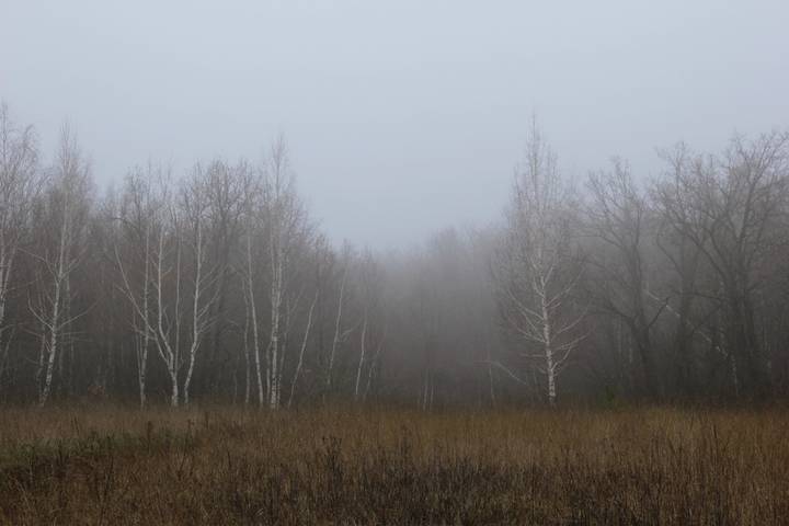 Цвета моего флага